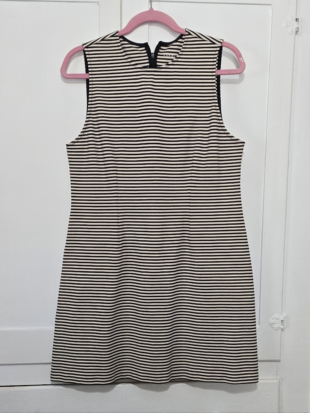 Everlane Striped Dress